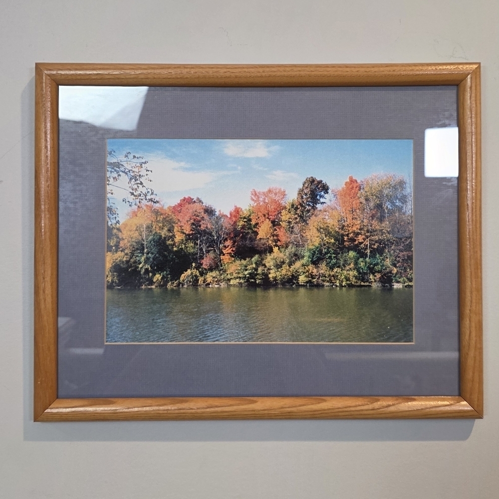 Framed Autumn Forest Reflection Print | Oak Wood Frame & Blue Mat 18"